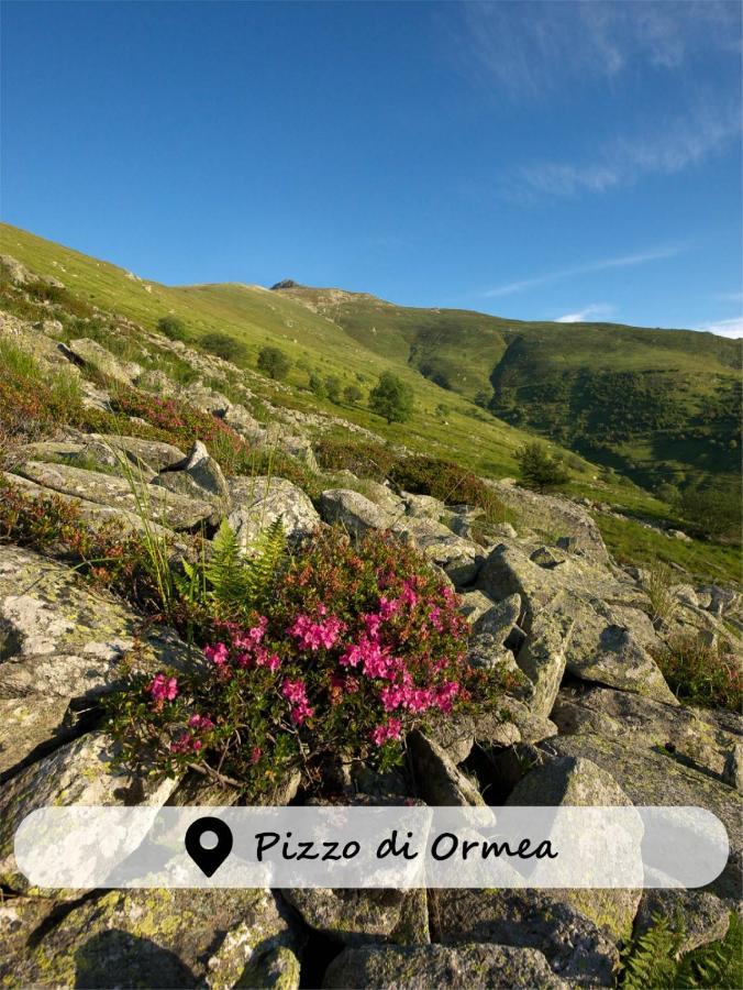 Albergo Ristorante Payarin Ormea Εξωτερικό φωτογραφία